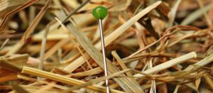 Picture of a lost pin